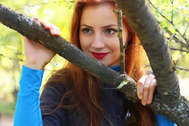 Similar image 20048887