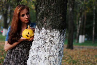 Similar image 20048893