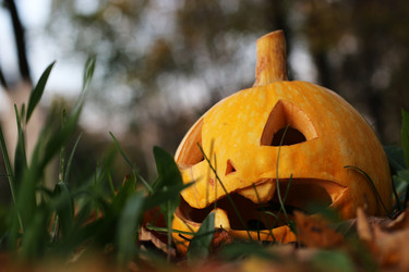 Similar image 20048895