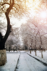 Similar image 20048902