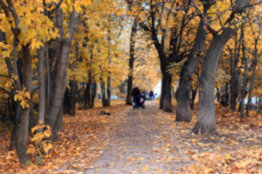 Similar image 20048943