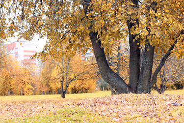 Similar image 20048945