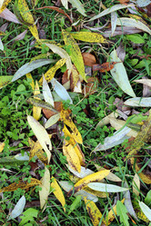 Similar image 20048947