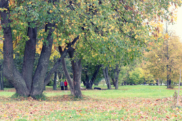 Similar image 20048950