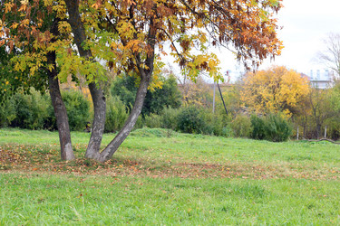 Similar image 20048951