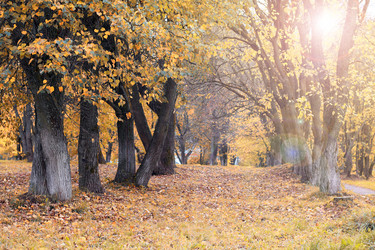 Similar image 20048952