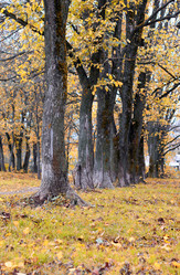 Similar image 20048959