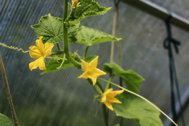 Similar image 20048979