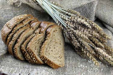 Similar image 20048982