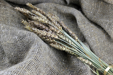 Similar image 20048986