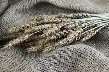 Similar image 20048987