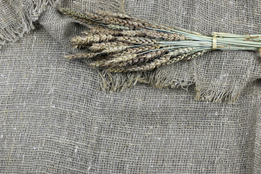 Similar image 20048992