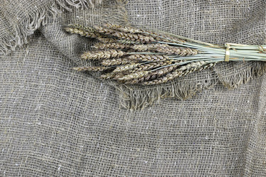 Similar image 20048993