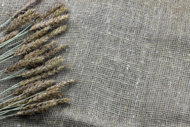 Similar image 20048996