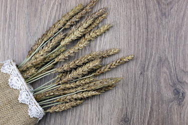 Similar image 20048997