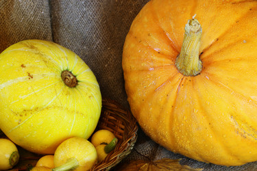 Similar image 20049002