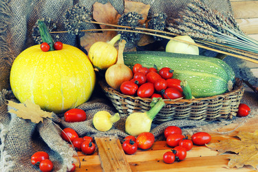 Similar image 20049005