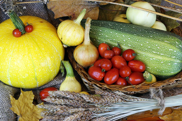 Similar image 20049007