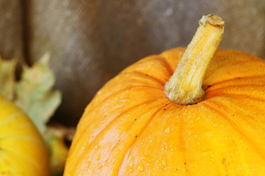 Similar image 20049012