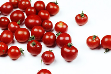 Similar image 20049021