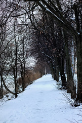 Similar image 20049027