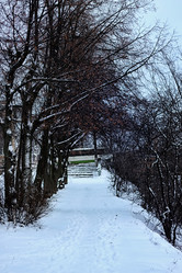 Similar image 20049035