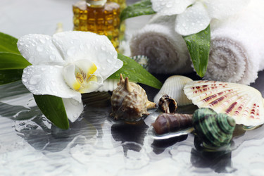 Similar image 20049079