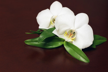 Similar image 20049084