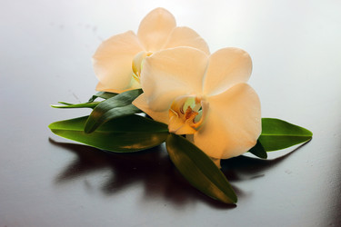 Similar image 20049085