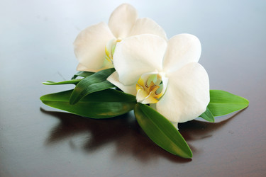 Similar image 20049091