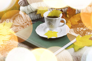 Similar image 20049100