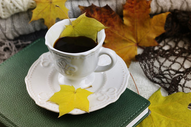 Similar image 20049101