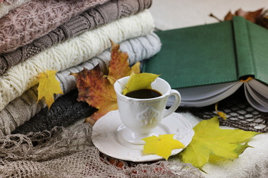 Similar image 20049102