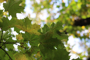 Similar image 20049123