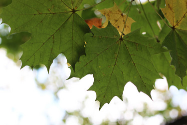 Similar image 20049124