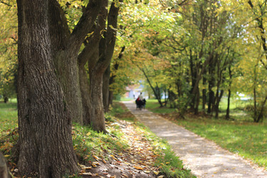 Similar image 20049131