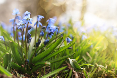 Similar image 20049136