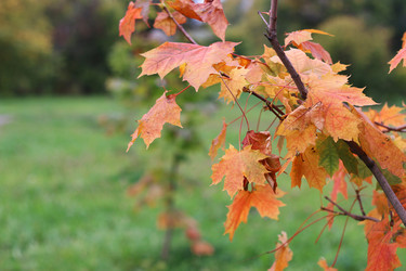 Similar image 20049157