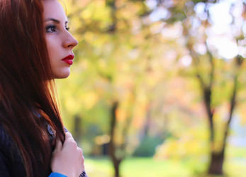 Similar image 20049160