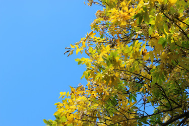 Similar image 20049177