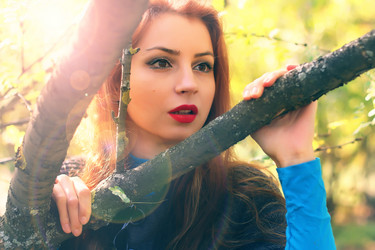 Similar image 20049185