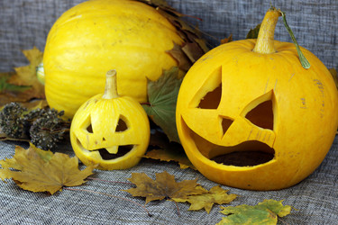 Similar image 20049198