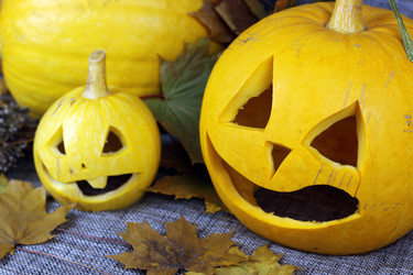 Similar image 20049199