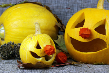 Similar image 20049204