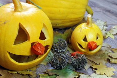 Similar image 20049205