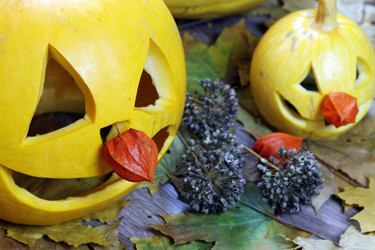 Similar image 20049206