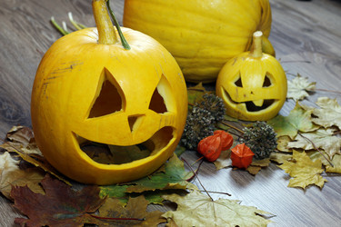 Similar image 20049207