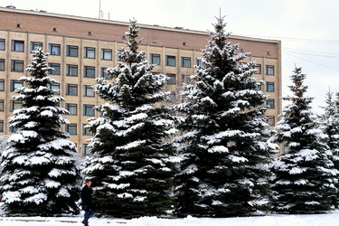 Similar image 20049242