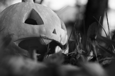 Similar image 20049248