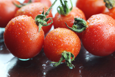 Similar image 20049286